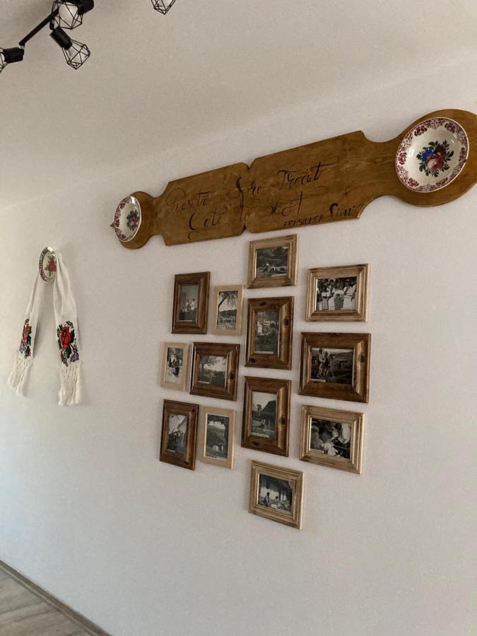 Pensiunea Simi 모이세이 외부 사진